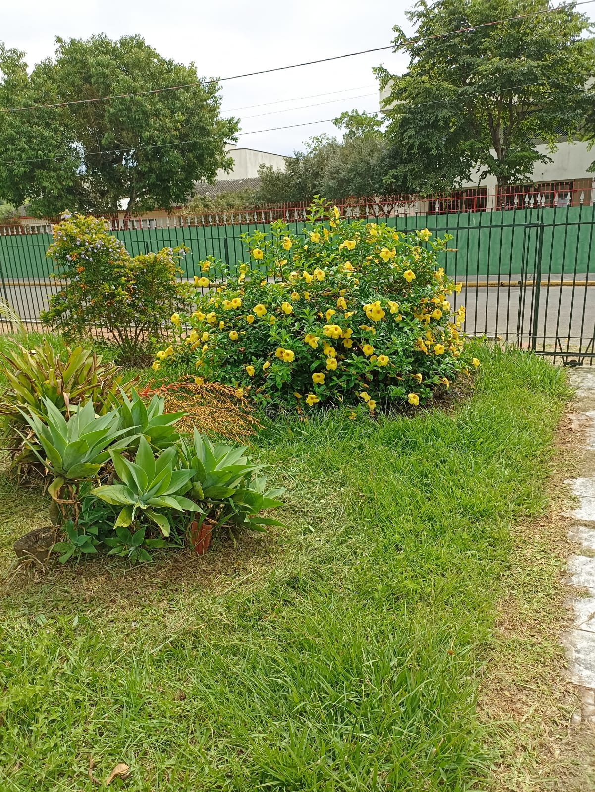 Jardim residencial antes da renovação